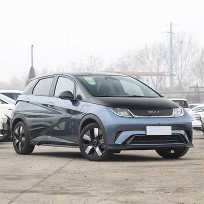 Rimelig mini EV Dolphin